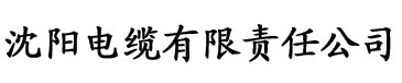 丝袜美腿美女电缆厂logo